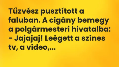 Vicc: Tűzvész pusztított a faluban. A cigány bemegy a polgármesteri hivatalba…