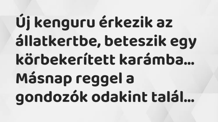 Vicc: Új kenguru érkezik az állatkertbe, beteszik egy körbekerített karámba… Vicc: Új kenguru érkezik az állatkertbe, beteszik egy körbekerített karámba…