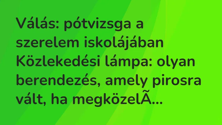 Vicc: Válás: pótvizsga a szerelem iskolájában… Vicc: Válás: pótvizsga a szerelem iskolájában…