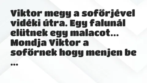 Vicc: Viktor megy a sofőrjével vidéki útra. Egy falunál elütnek egy malacot…
