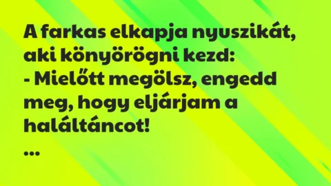 Viccek: A farkas elkapja nyuszikát, aki könyörögni kezd…