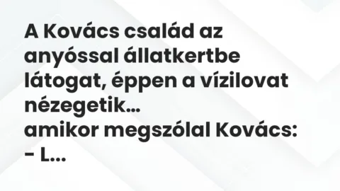 Viccek: A Kovács család az anyóssal állatkertbe látogat, éppen a vízilovat…