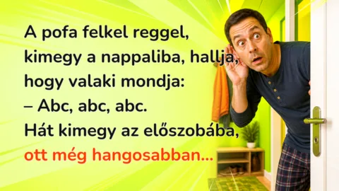 A pofa felkel reggel, kimegy a nappaliba, hallja, hogy valaki mondja: – Abc, abc, abc. Hát kimegy az előszobába, ott még hangosabban...