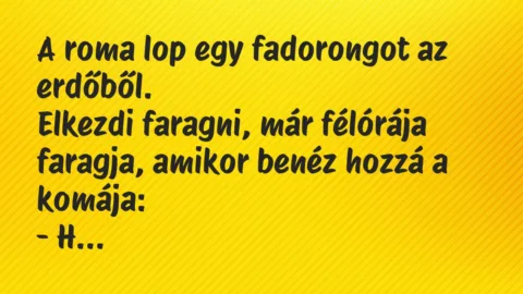 Viccek: A roma lop egy fadorongot az erdőből…