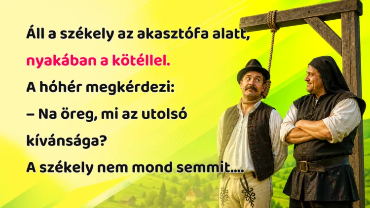 Viccek: Áll a székely az akasztófa alatt, nyakában a kötéllel... Áll a székely az akasztófa alatt, nyakában a kötéllel. A hóhér megkérdezi: – Na öreg, mi az utolsó kívánsága? A székely nem mond semmit....