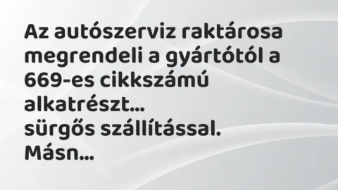 Viccek: Az autószerviz raktárosa megrendeli a gyártótól a 669-es cikkszámú…