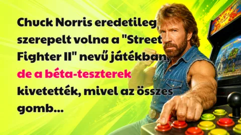 Chuck Norris eredetileg szerepelt volna a "Street Fighter II" nevű játékban, de a béta-teszterek kivetették, mivel az összes gomb...