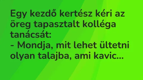 Viccek: Egy kezdő kertész kéri az öreg tapasztalt kolléga tanácsát…
