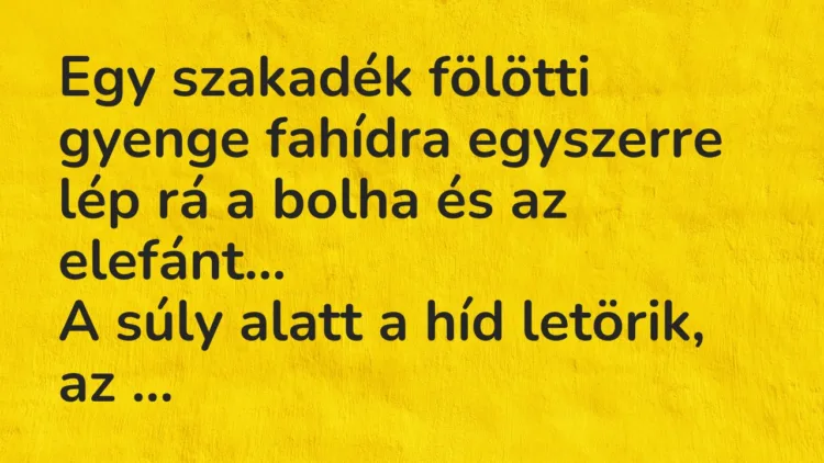 Viccek: Egy szakadék fölötti gyenge fahídra egyszerre lép rá a bolha… Viccek: Egy szakadék fölötti gyenge fahídra egyszerre lép rá a bolha…