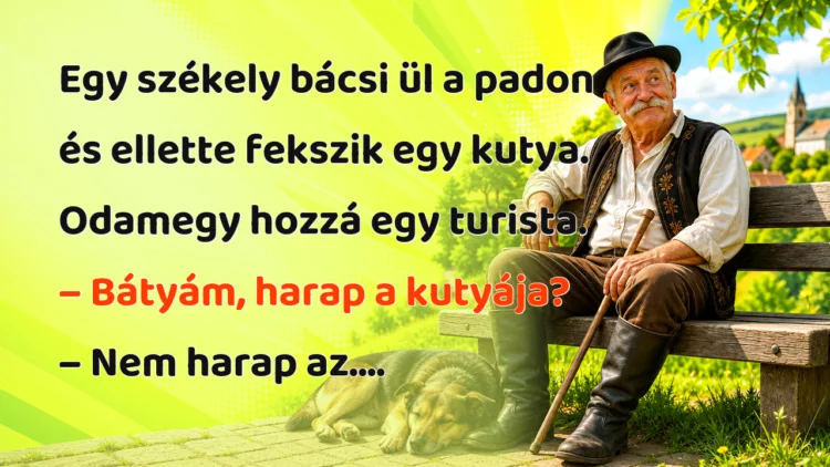 Viccek: Egy székely bácsi ül a padon és ellette fekszik egy kutya... Egy székely bácsi ül a padon és ellette fekszik egy kutya. Odamegy hozzá egy turista. – Bátyám, harap a kutyája? – Nem harap az....