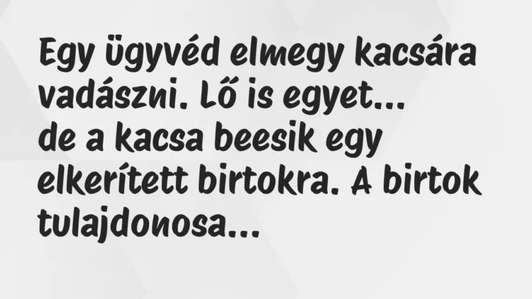 Viccek: Egy ügyvéd elmegy kacsára vadászni. Lő is egyet, de a kacsa beesik… Viccek: Egy ügyvéd elmegy kacsára vadászni. Lő is egyet, de a kacsa beesik…