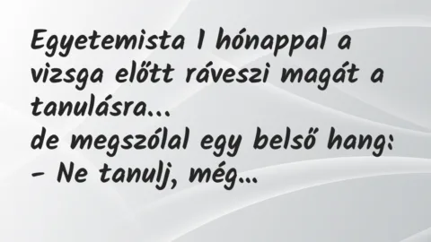 Viccek: Egyetemista 1 hónappal a vizsga előtt ráveszi magát a tanulásra…