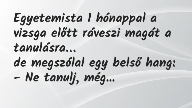 Viccek: Egyetemista 1 hónappal a vizsga előtt ráveszi magát a tanulásra… Viccek: Egyetemista 1 hónappal a vizsga előtt ráveszi magát a tanulásra…