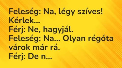 Viccek: Feleség: Na, légy szíves! Kérlek…