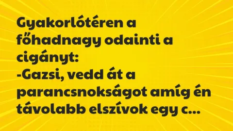 Viccek: Gyakorlótéren a főhadnagy odainti a cigányt… Viccek: Gyakorlótéren a főhadnagy odainti a cigányt…