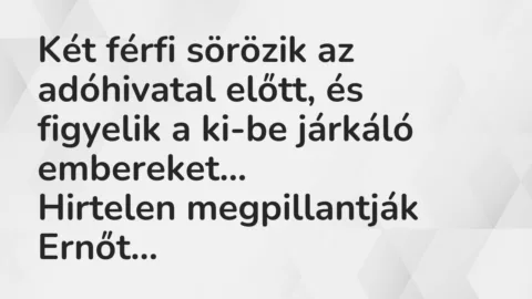 Viccek: Két férfi sörözik az adóhivatal előtt, és figyelik a ki-be járkáló…