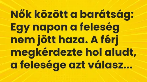 Viccek: Nők között a barátság…