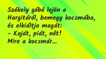 Viccek: Székely góbé lejön a Hargitáról, bemegy kocsmába, és elkiáltja magát…