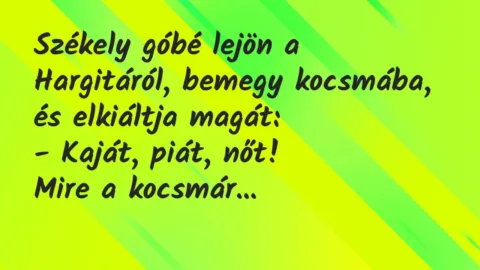 Viccek: Székely góbé lejön a Hargitáról, bemegy kocsmába, és elkiáltja magát…