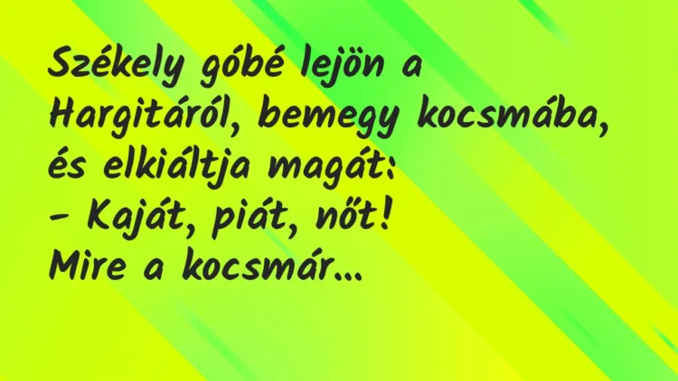 Viccek: Székely góbé lejön a Hargitáról, bemegy kocsmába, és elkiáltja magát… Viccek: Székely góbé lejön a Hargitáról, bemegy kocsmába, és elkiáltja magát…