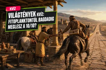 Világtények kvíz: fitoplanktontól Bagdadig meglesz a 10/10? Világtények kvíz: fitoplanktontól Bagdadig meglesz a 10/10?
