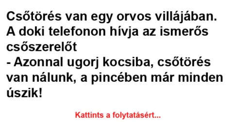 Vicc: Csőtörés van egy orvos villájában
