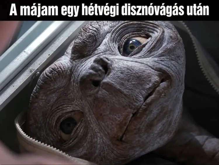 A májam egy hétvégi disznóvágás után A májam egy hétvégi disznóvágás után