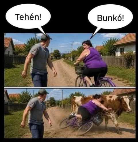 Tehén!
