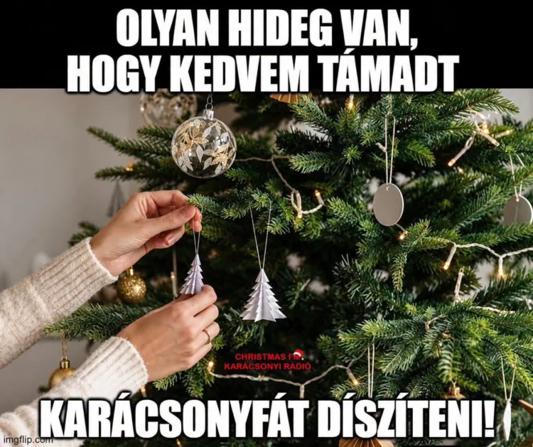 Olyan hideg van, hogy kedvem támadt karácsonyfát díszíteni Olyan hideg van, hogy kedvem támadt karácsonyfát díszíteni