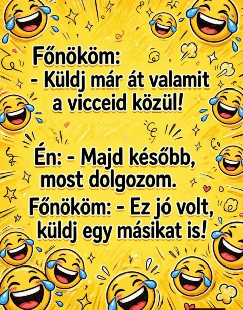 Főnököm: Küldj már át valamit a vicceid közül!