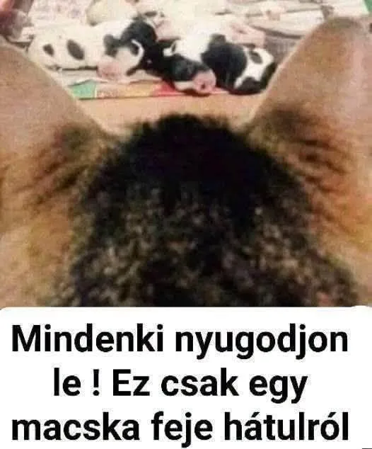 #VK1791108110 #VK1791108110