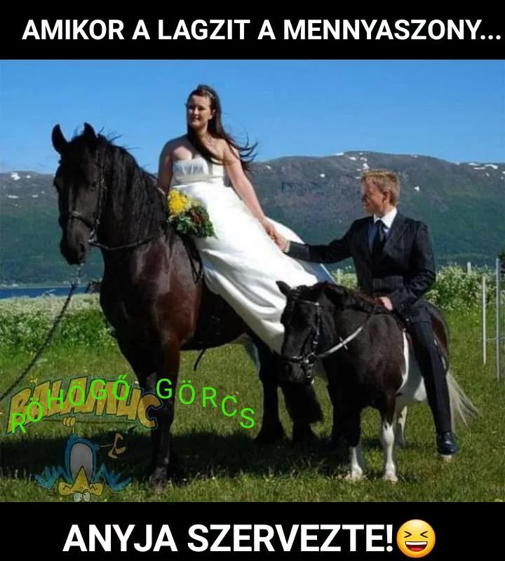 Amikor a lagzit a mennyasszony... Amikor a lagzit a mennyasszony...