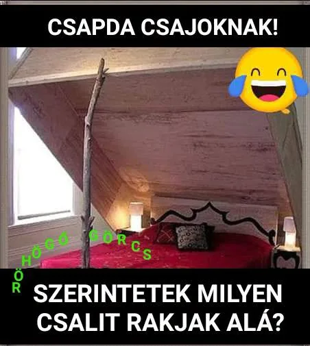 Csapda csajoknak! Csapda csajoknak!