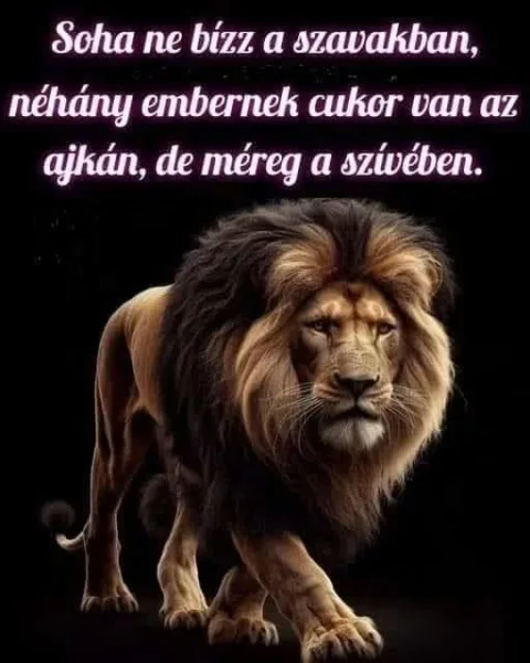Soha ne bízz a szavakban...