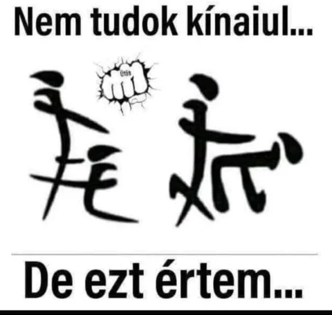 Nem tudok kínaiul...