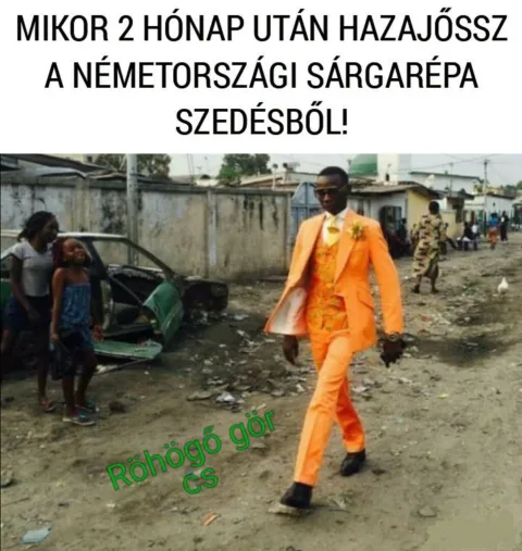 Mikor 2 hónap után hazajössz a németországi sárgarépa szedésből?