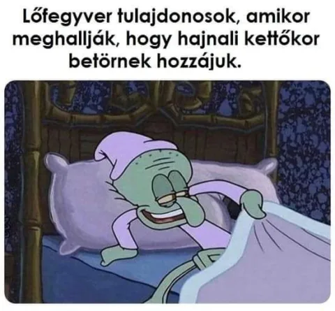 Lófegyver tulajdonosok, amikor meghallják, hogy hajnali kettőkor betörnek hozzájuk.