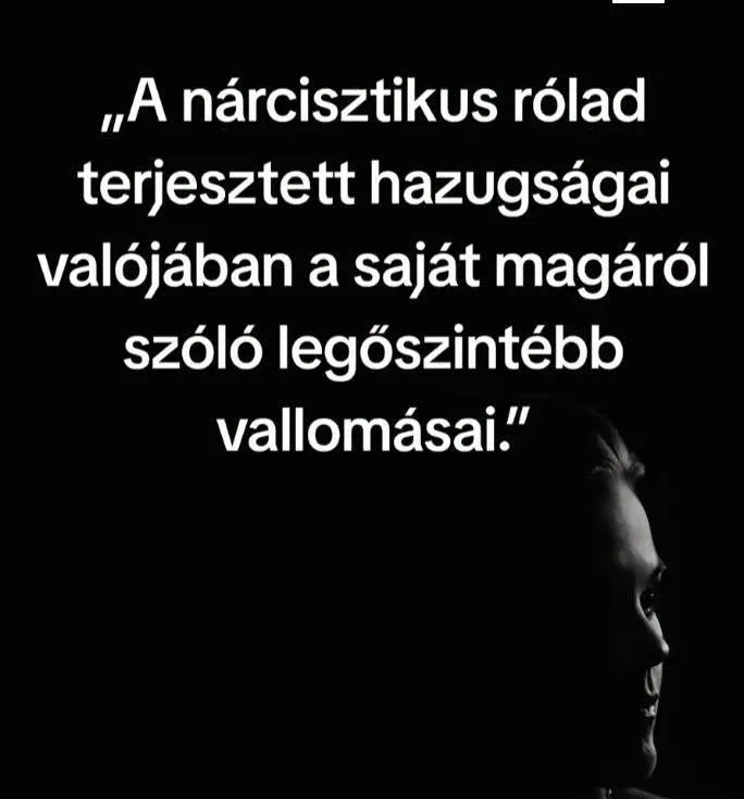 A nárcisztikus rólad terjesztett hazugságai... A nárcisztikus rólad terjesztett hazugságai...