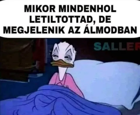 Mikor mindenhol letiltottad, de megjelenik az álmodban?