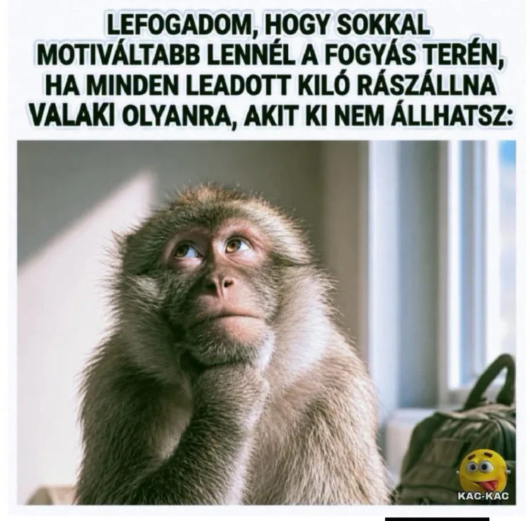 Lefogadom, hogy sokkal motiváltabb lennél a fogyás terén... Lefogadom, hogy sokkal motiváltabb lennél a fogyás terén...