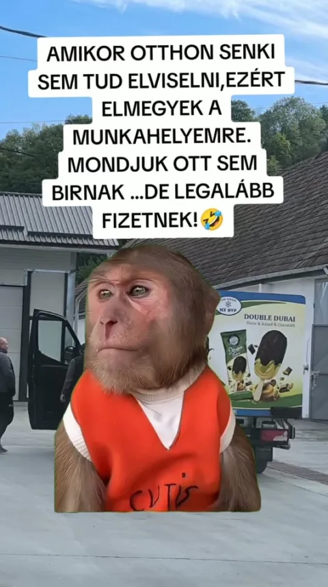 Amikor otthon senki sem tud elviselni...