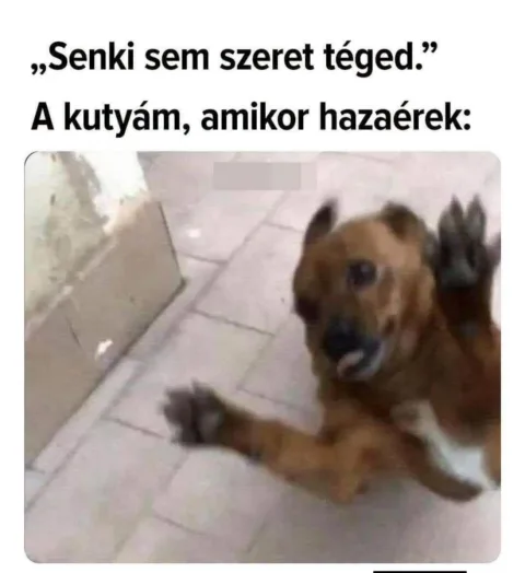 Senki sem szeret téged...