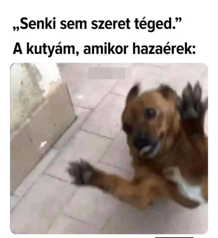 Senki sem szeret téged... Senki sem szeret téged...