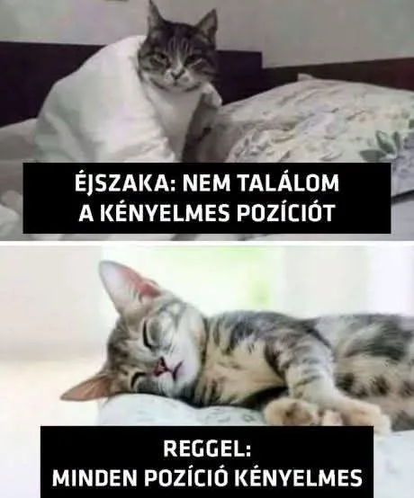 #VK1792129438