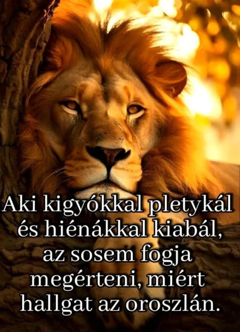 #VK1792321215