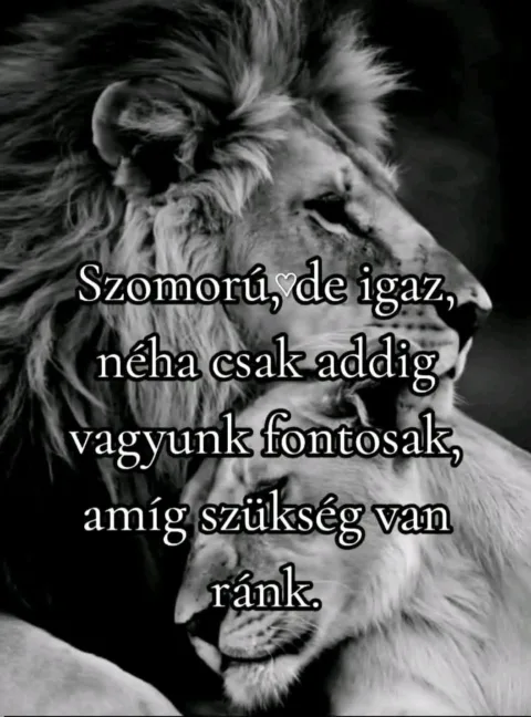 Szomorú, de igaz...