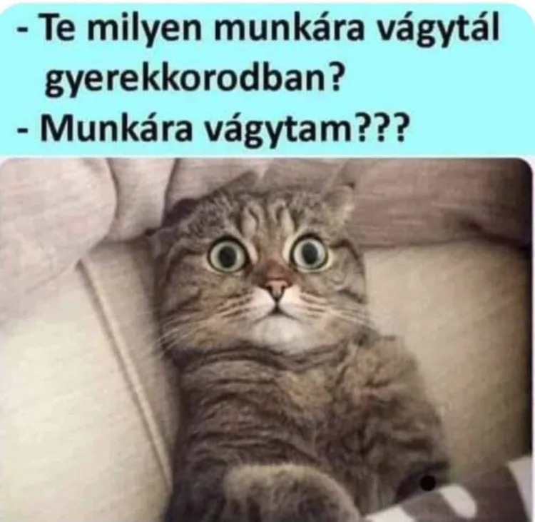 Te milyen munkára vágytál gyerekkorodban? Te milyen munkára vágytál gyerekkorodban?