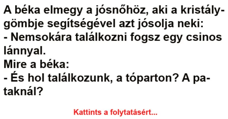 Vicc: A béka elmegy a jósnőhöz - Vicc: A béka elmegy a jósnőhöz –