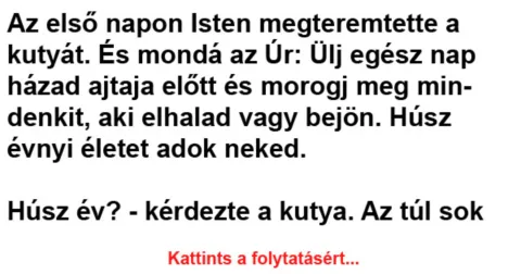 Vicc: Az első napon Isten megteremtette a kutyát –