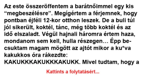 Vicc: Az este összeröffentem a barátnőimmel egy kis “megbeszélésre” -... Vicc: Az este összeröffentem a barátnőimmel egy kis “megbeszélésre” -…